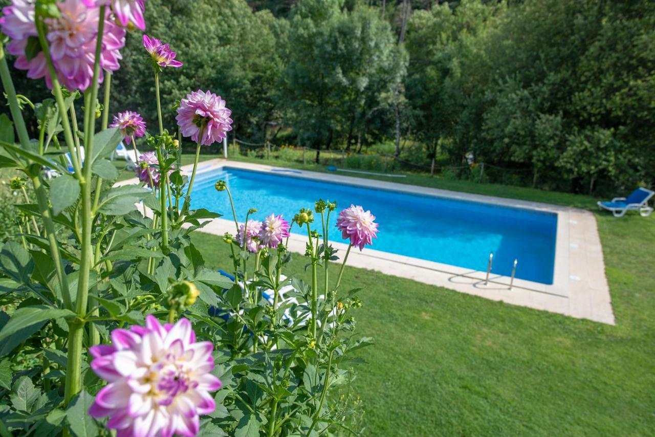 Quinta Da Rabacosa - Turismo Rural Castro Daire Luaran gambar