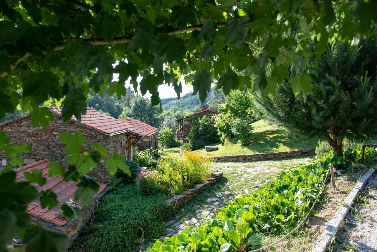 Quinta Da Rabacosa - Turismo Rural Castro Daire Luaran gambar