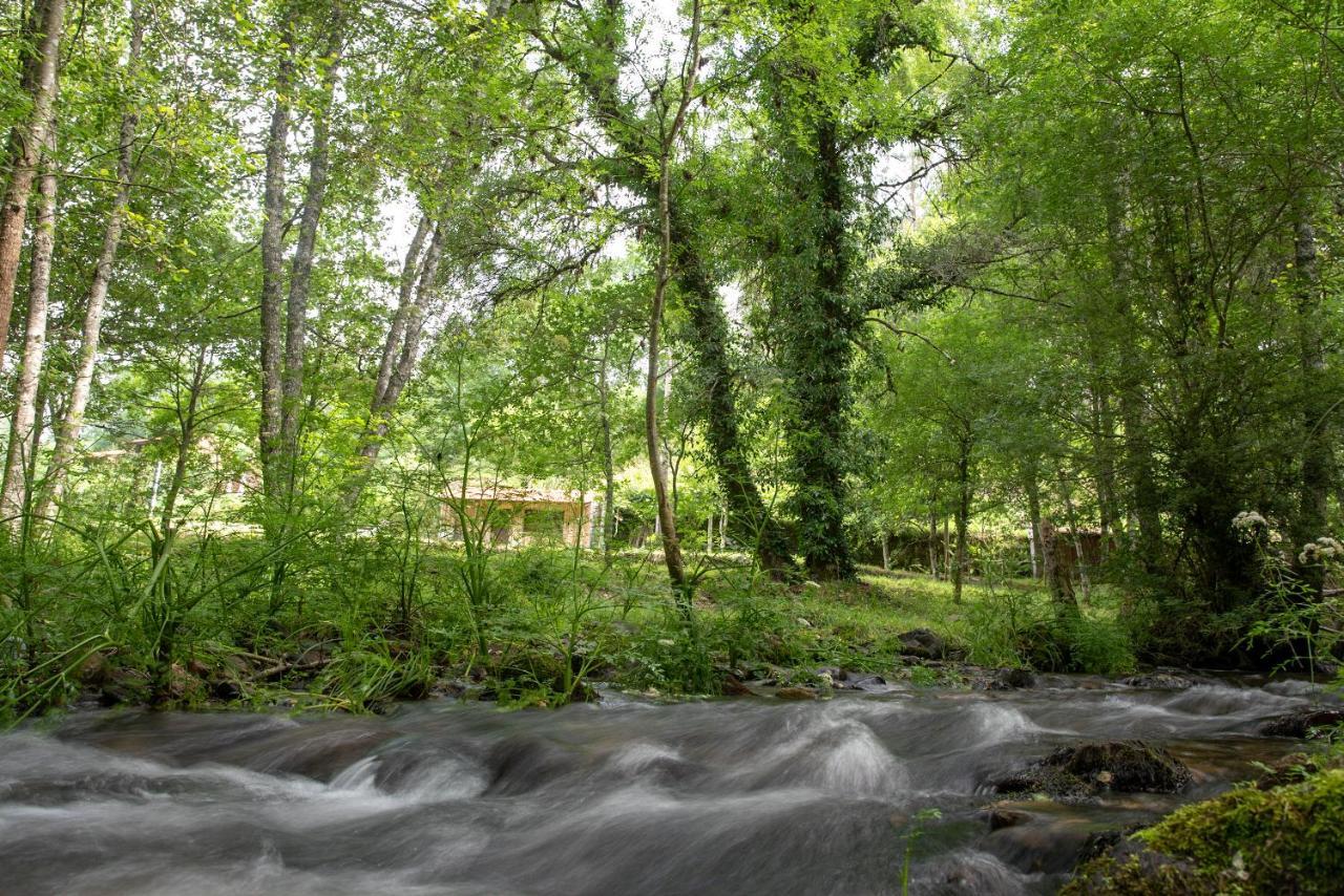 Quinta Da Rabacosa - Turismo Rural Castro Daire Luaran gambar