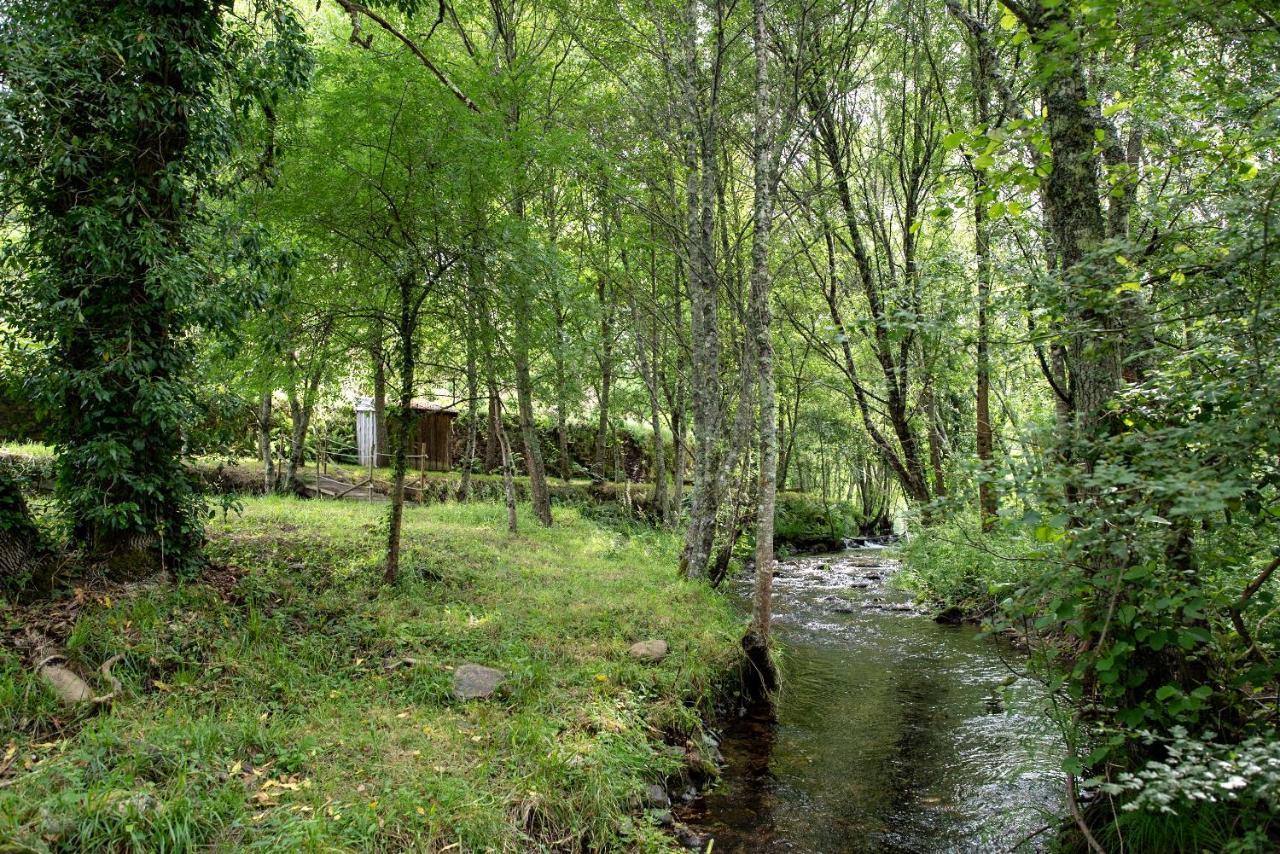 Quinta Da Rabacosa - Turismo Rural Castro Daire Luaran gambar