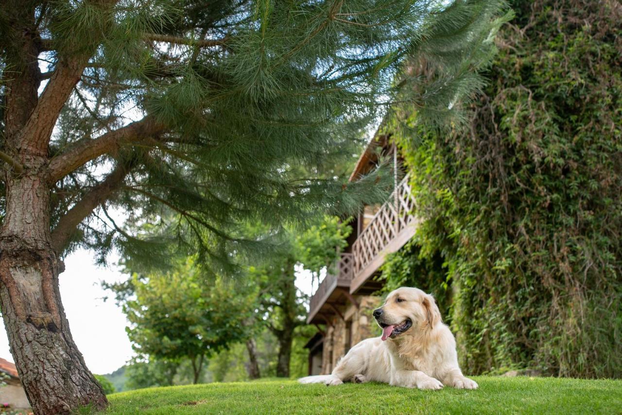 Quinta Da Rabacosa - Turismo Rural Castro Daire Luaran gambar