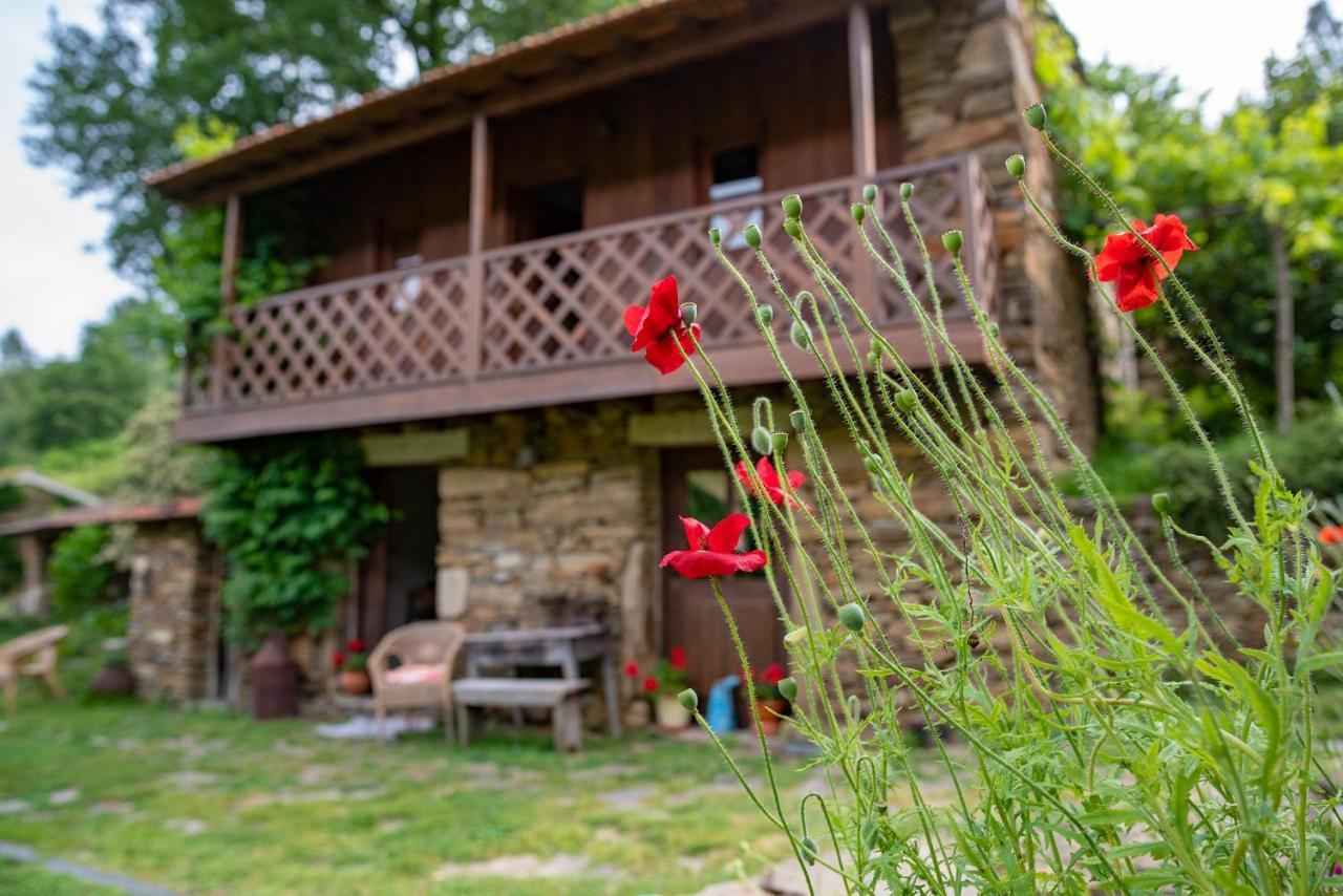 Quinta Da Rabacosa - Turismo Rural Castro Daire Luaran gambar